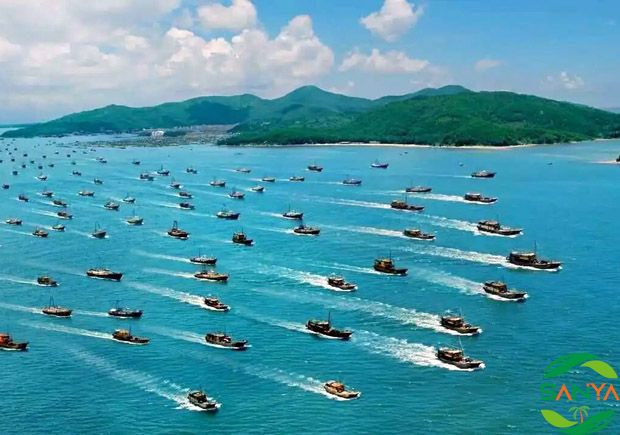 2023年中國南海（三亞）開漁節(jié)將于8月16日舉行