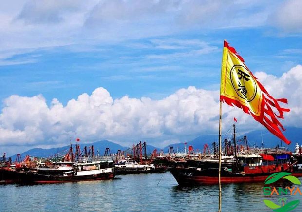 2023年中國南海（三亞）開漁節(jié)將于8月16日舉行