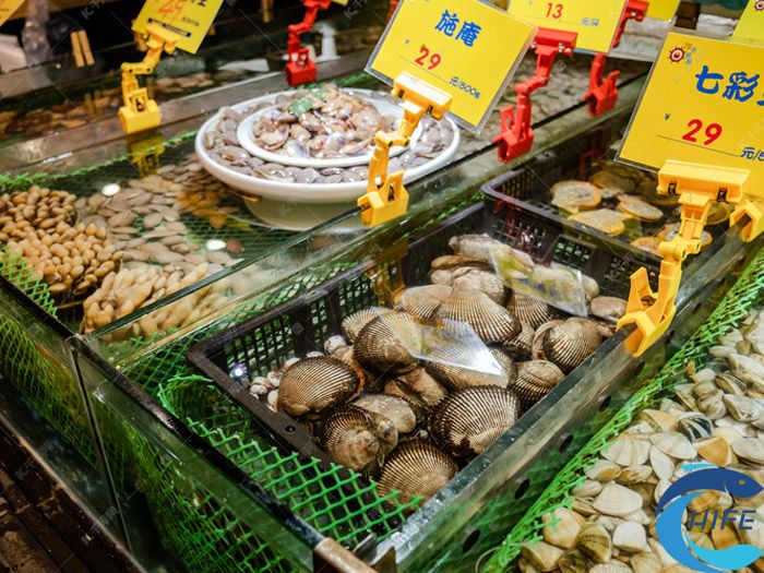 海南省漁業(yè)扶持政策