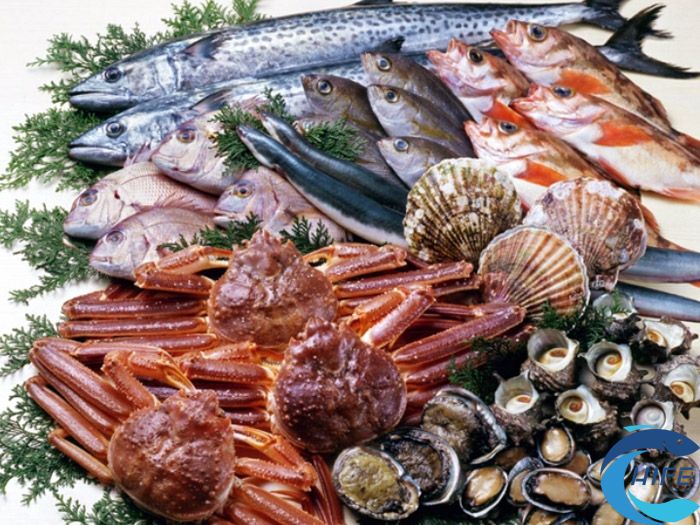 2024海南水產(chǎn)品食材展覽會(huì)時(shí)間和地點(diǎn)