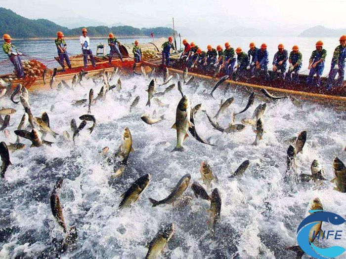 海南省休閑漁業(yè)項(xiàng)目的發(fā)展對(duì)環(huán)境有何影響