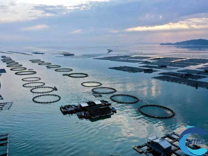 海南省在推動(dòng)漁業(yè)產(chǎn)業(yè)轉(zhuǎn)型升級(jí)過(guò)程中的成功經(jīng)驗(yàn)有哪些