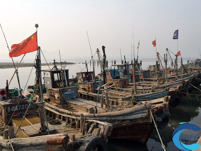 海南省對(duì)促進(jìn)漁業(yè)發(fā)展舉辦的活動(dòng)