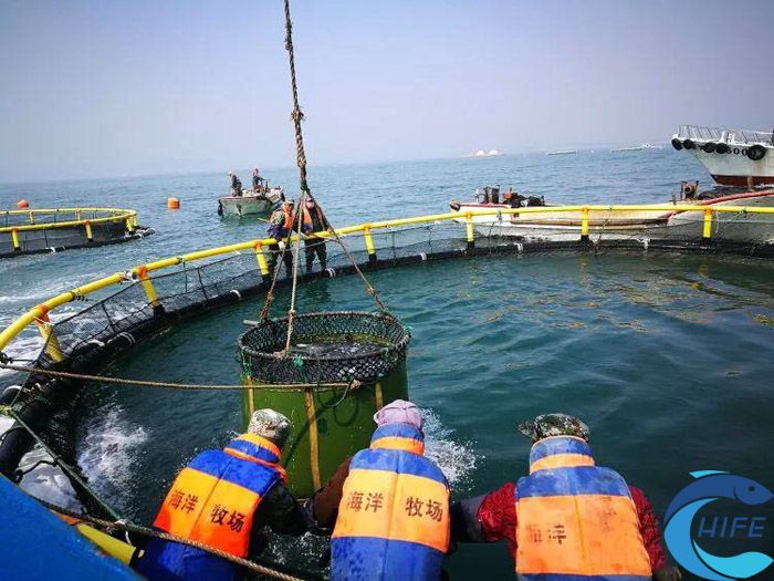 海南省舉辦的活動(dòng)對(duì)漁業(yè)發(fā)展有何影響