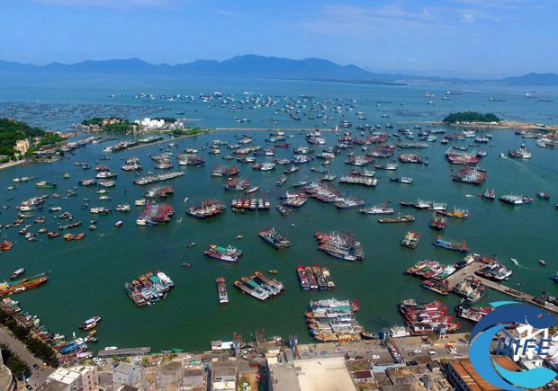海南省漁業(yè)產(chǎn)業(yè)轉(zhuǎn)型升級(jí)的主要措施有哪些