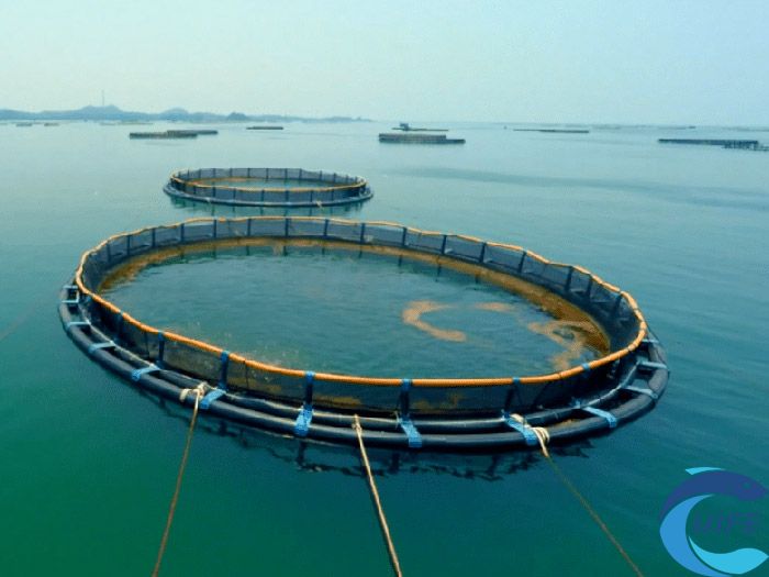 海南省在深遠(yuǎn)海養(yǎng)殖方面取得了哪些成就