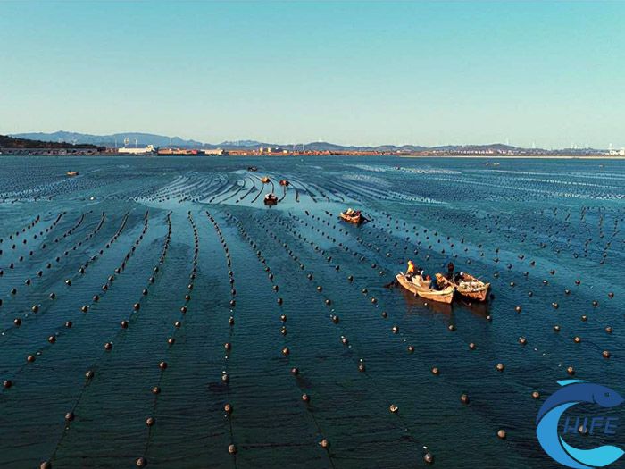 海南省在深遠(yuǎn)海養(yǎng)殖方面的技術(shù)創(chuàng)新有哪些