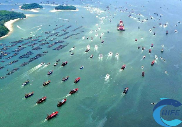 海南省在深遠(yuǎn)海養(yǎng)殖捕撈設(shè)備及技術(shù)方面的創(chuàng)新有哪些